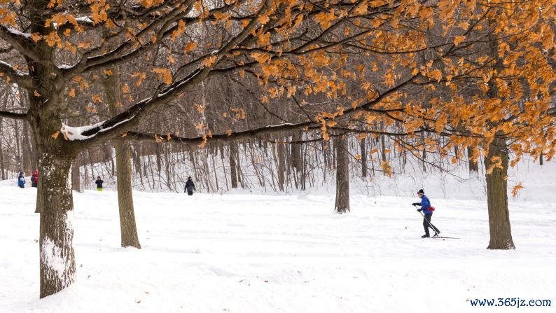 January in Montreal: You can cross-country ski in this city! This skier makes his way through Mount Royal Park.