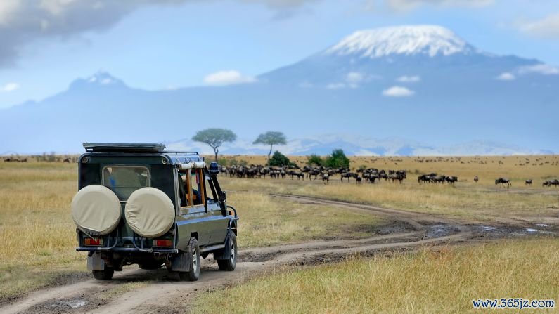 January in Kenya: Tourists on a safari watch for wildebeests migrating through the grasslands in the Masai Mara National Reserve.