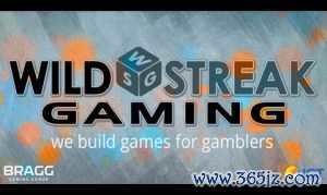Bragg Gaming Group content studio Wild Streak Gami